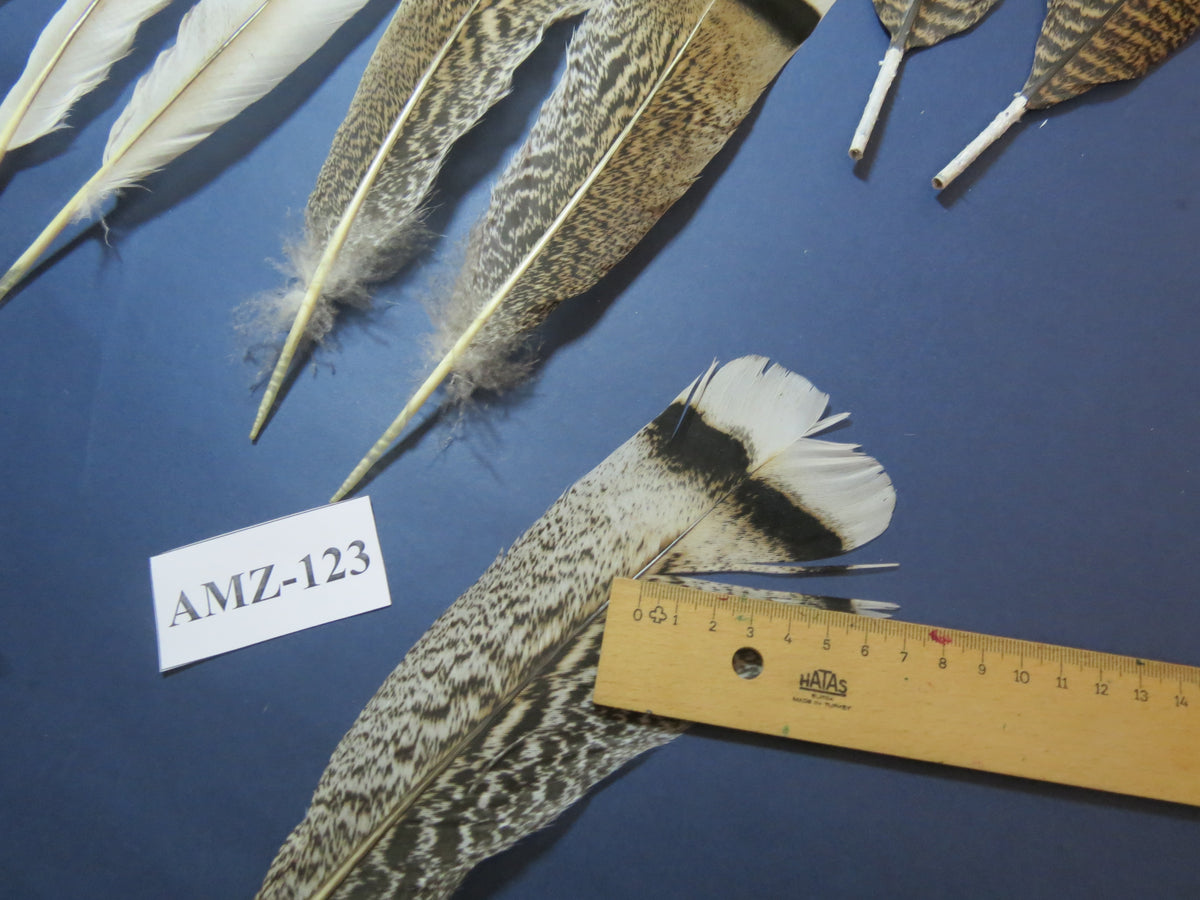 8 Pairs Turkey Feathers, Tail Feathers, Fly Tying Materials, Natural Feathers (AMZ-123)