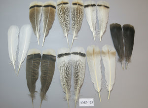 8 Pairs Turkey Feathers, Tail Feathers, Fly Tying Materials, Natural Feathers (AMZ-125)