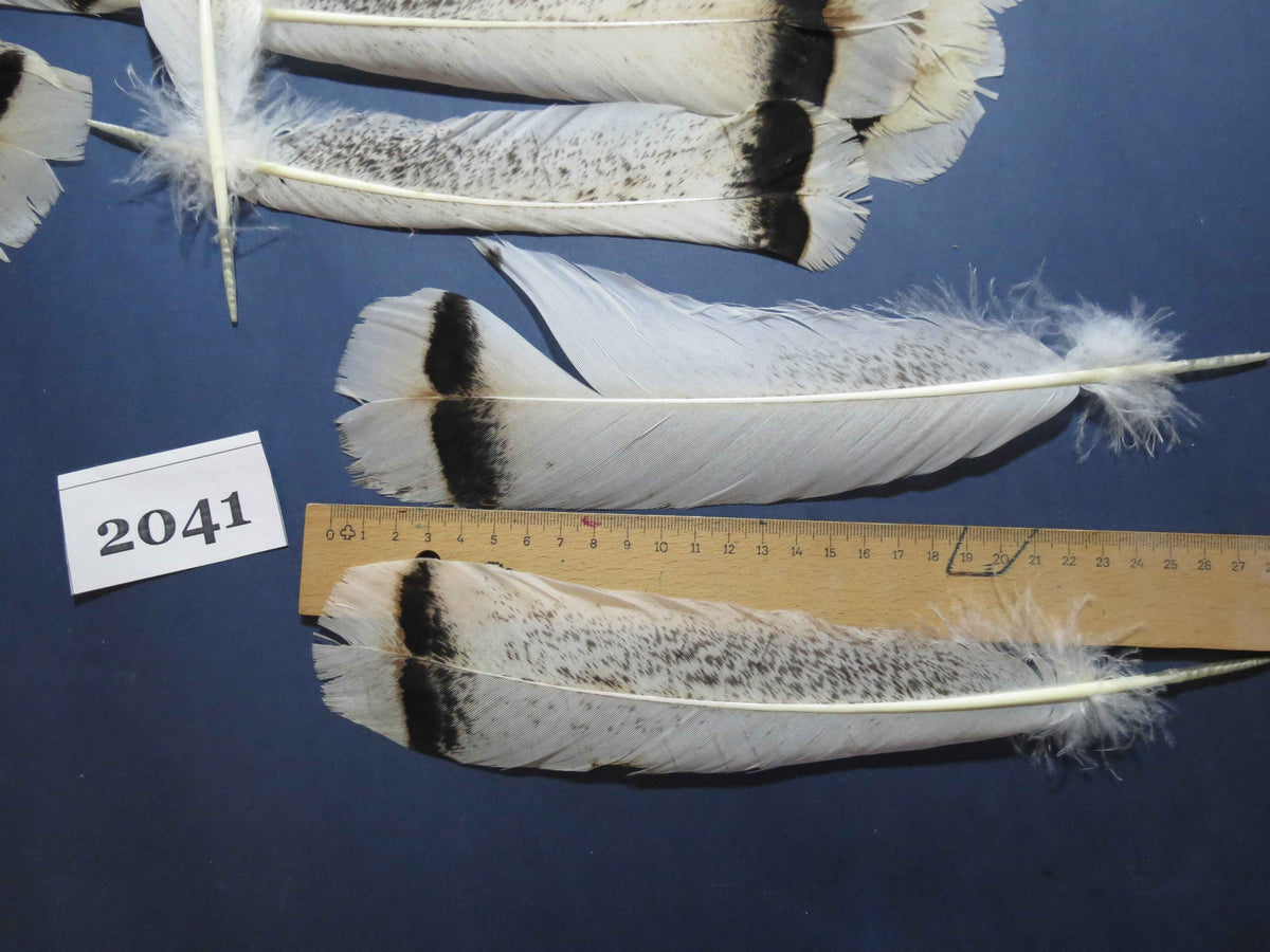28 Pcs Turkey Tail Feathers, Fly Tying Material,Craft Feathers,Natural Turkey Feathers (2041)