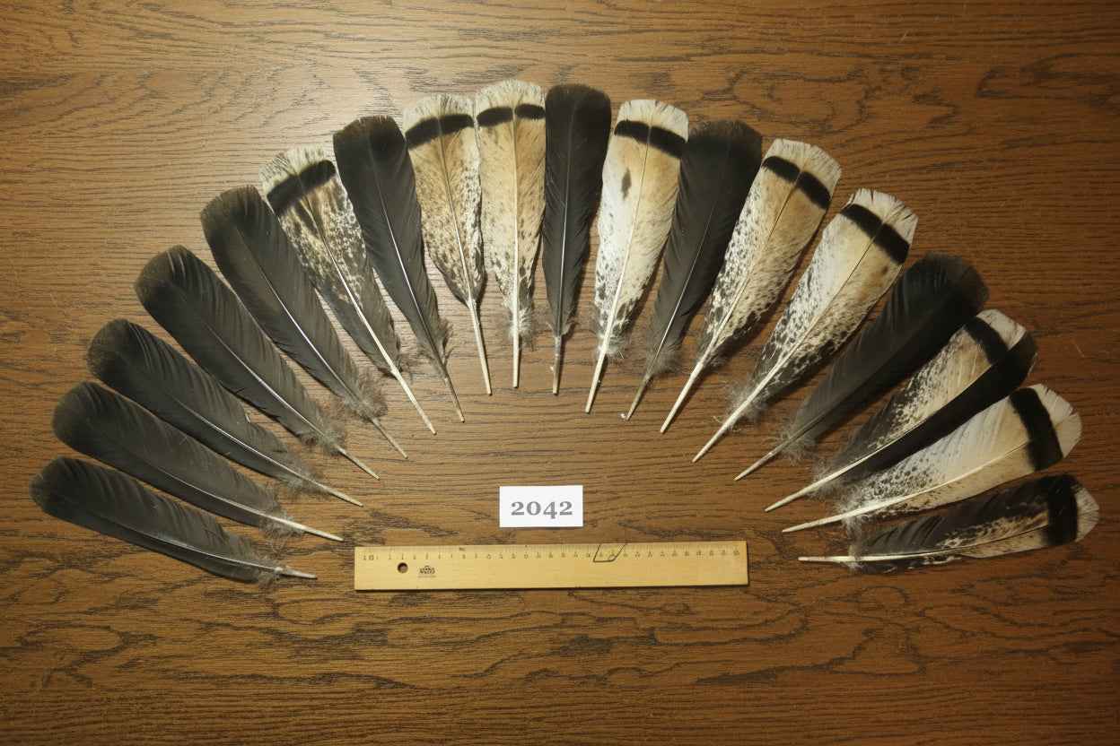 18 Pcs Turkey Tail Feathers, Fly Tying Material,Craft Feathers,Natural Turkey Feathers (2042)
