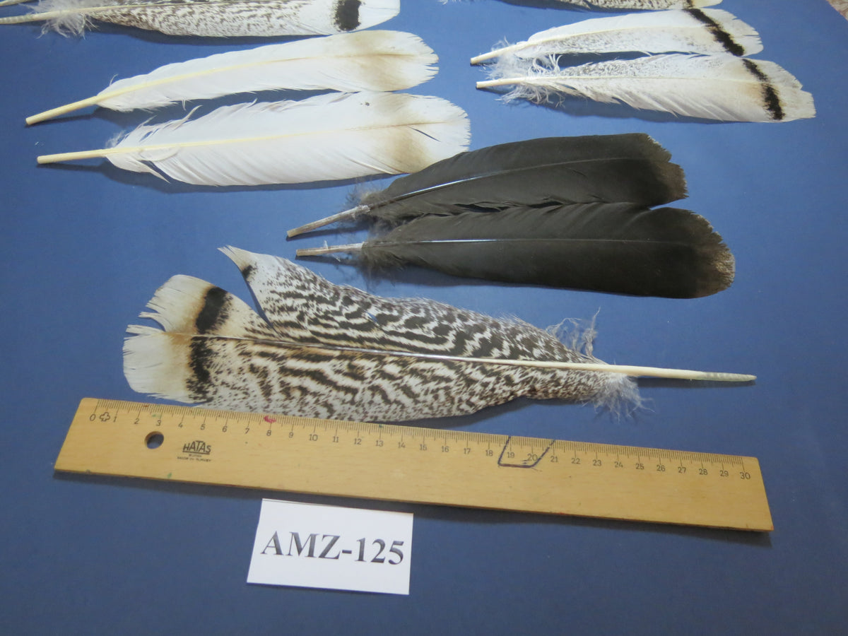 8 Pairs Turkey Feathers, Tail Feathers, Fly Tying Materials, Natural Feathers (AMZ-125)