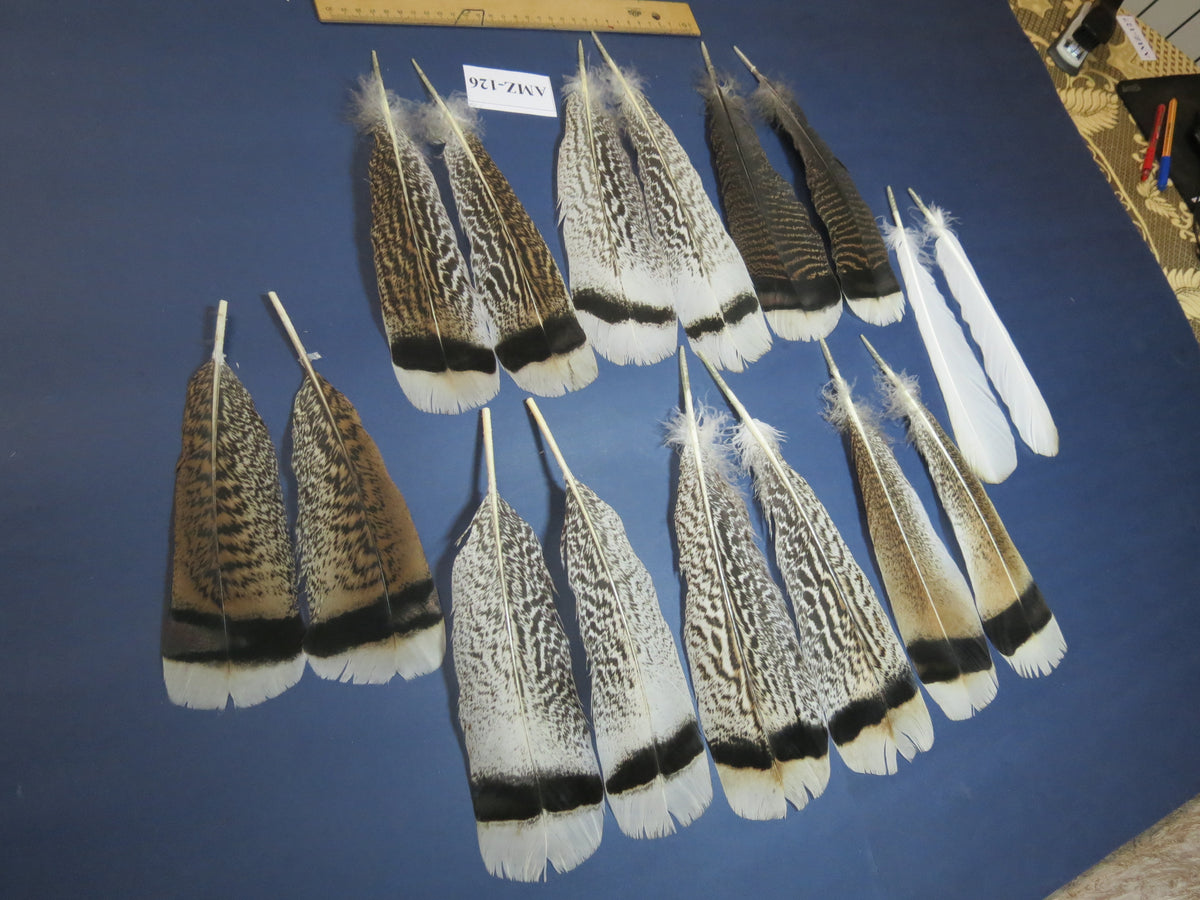 8 Pairs Turkey Feathers, Tail Feathers, Fly Tying Materials, Natural Feathers (AMZ-126)