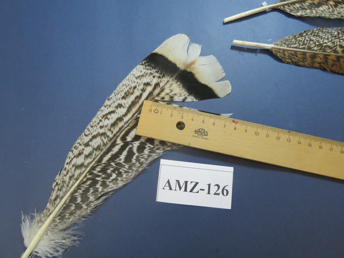 8 Pairs Turkey Feathers, Tail Feathers, Fly Tying Materials, Natural Feathers (AMZ-126)
