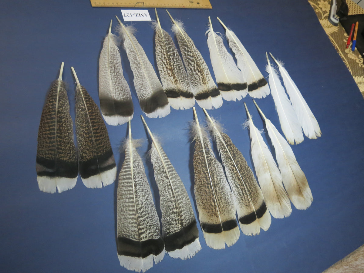 8 Pairs Turkey Feathers, Tail Feathers, Fly Tying Materials, Natural Feathers (AMZ-127)