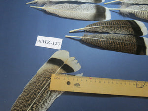 8 Pairs Turkey Feathers, Tail Feathers, Fly Tying Materials, Natural Feathers (AMZ-127)