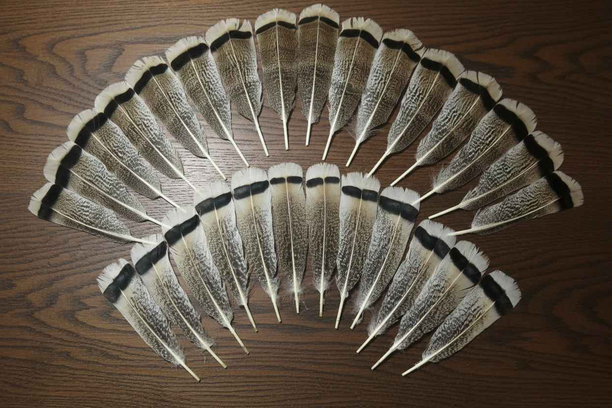 28 Pcs Turkey Tail Feathers, Fly Tying Material,Craft Feathers,Natural Turkey Feathers (2051)