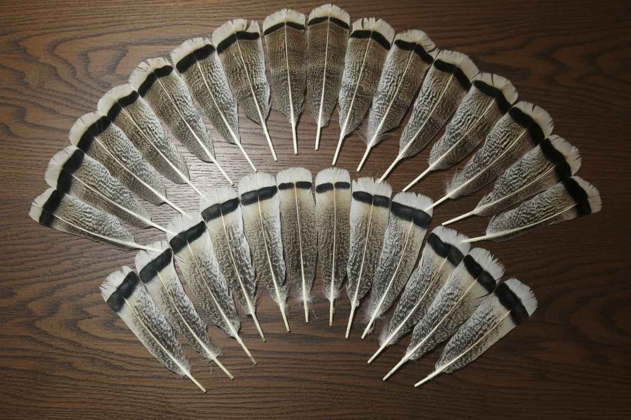 28 Pcs Turkey Tail Feathers, Fly Tying Material,Craft Feathers,Natural Turkey Feathers (2051)