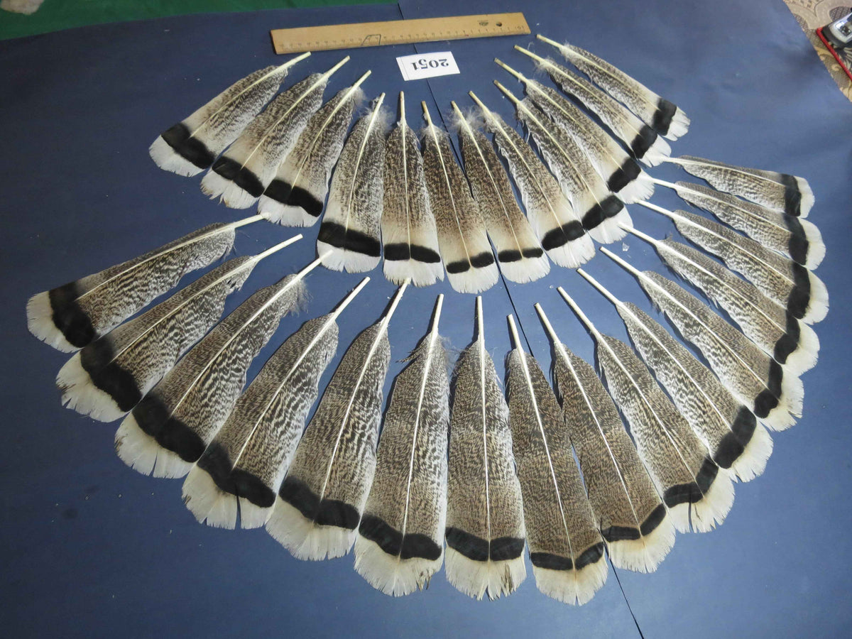 28 Pcs Turkey Tail Feathers, Fly Tying Material,Craft Feathers,Natural Turkey Feathers (2051)