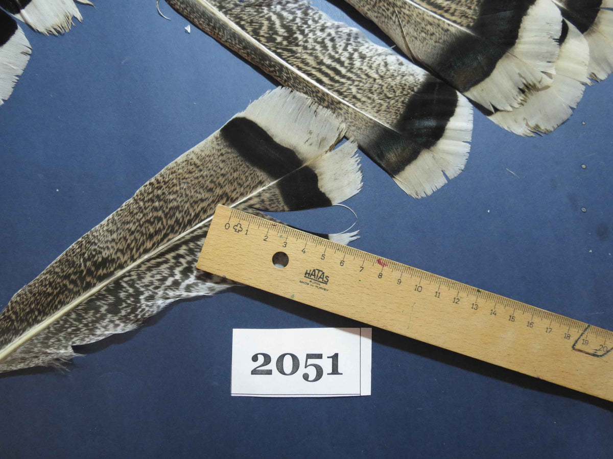 28 Pcs Turkey Tail Feathers, Fly Tying Material,Craft Feathers,Natural Turkey Feathers (2051)