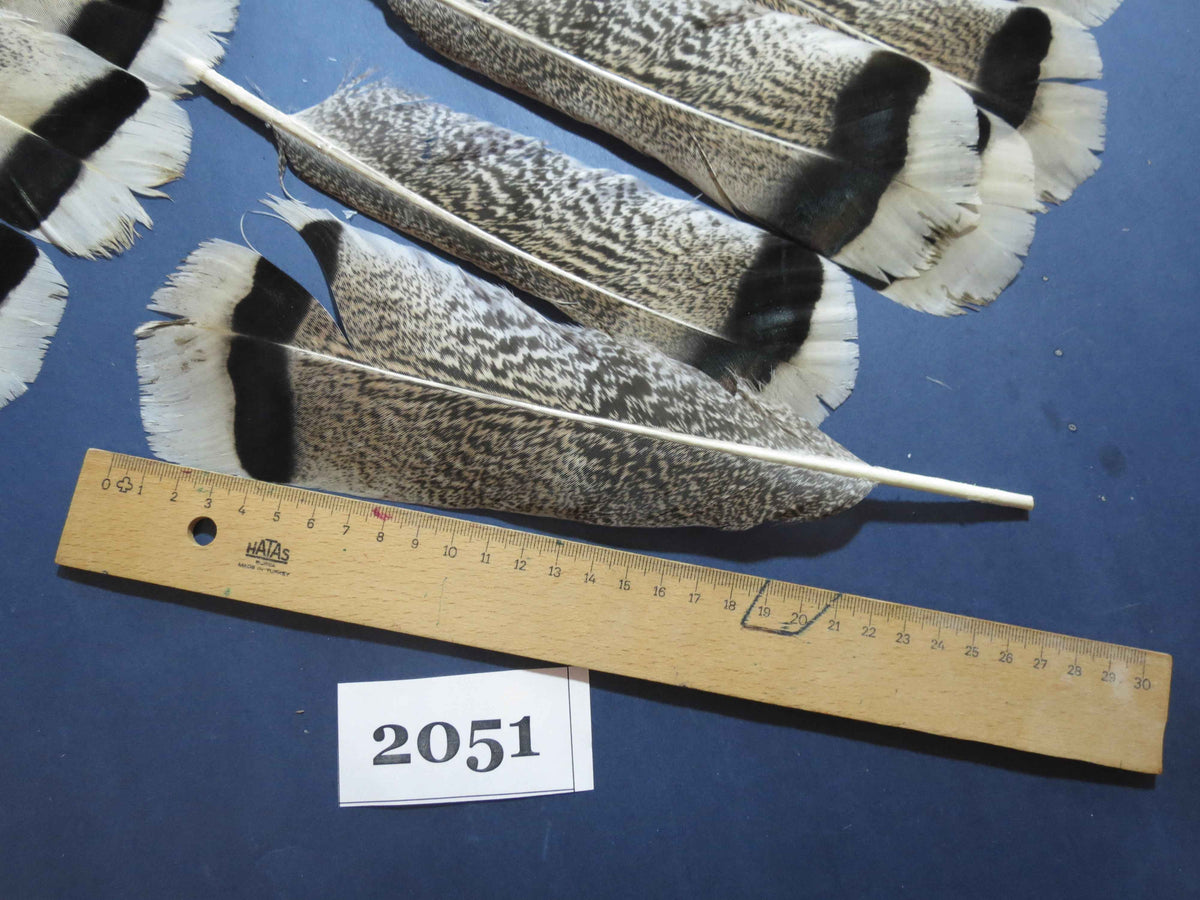 28 Pcs Turkey Tail Feathers, Fly Tying Material,Craft Feathers,Natural Turkey Feathers (2051)