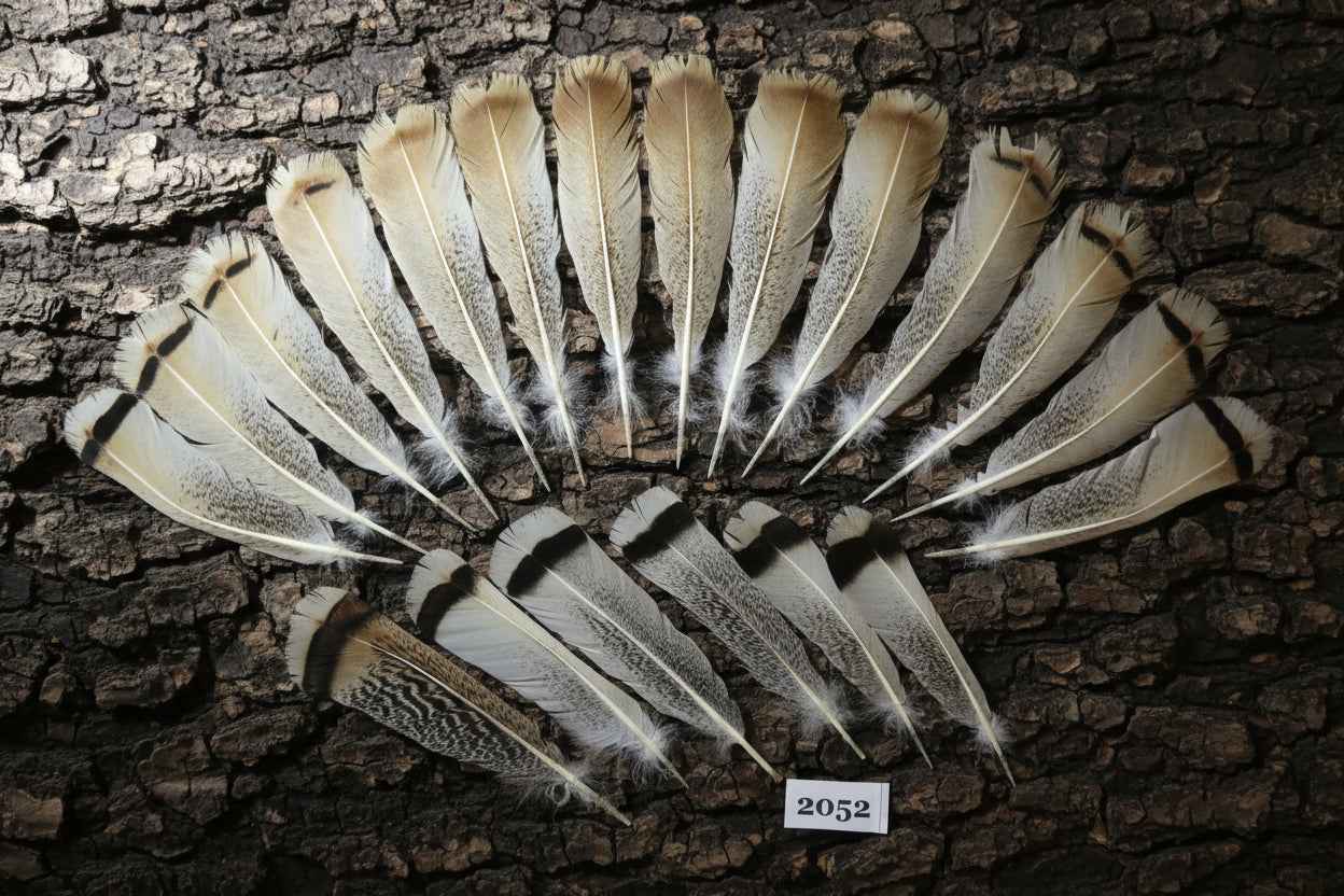 20 Pcs Turkey Tail Feathers, Fly Tying Material,Craft Feathers,Natural Turkey Feathers (2052)