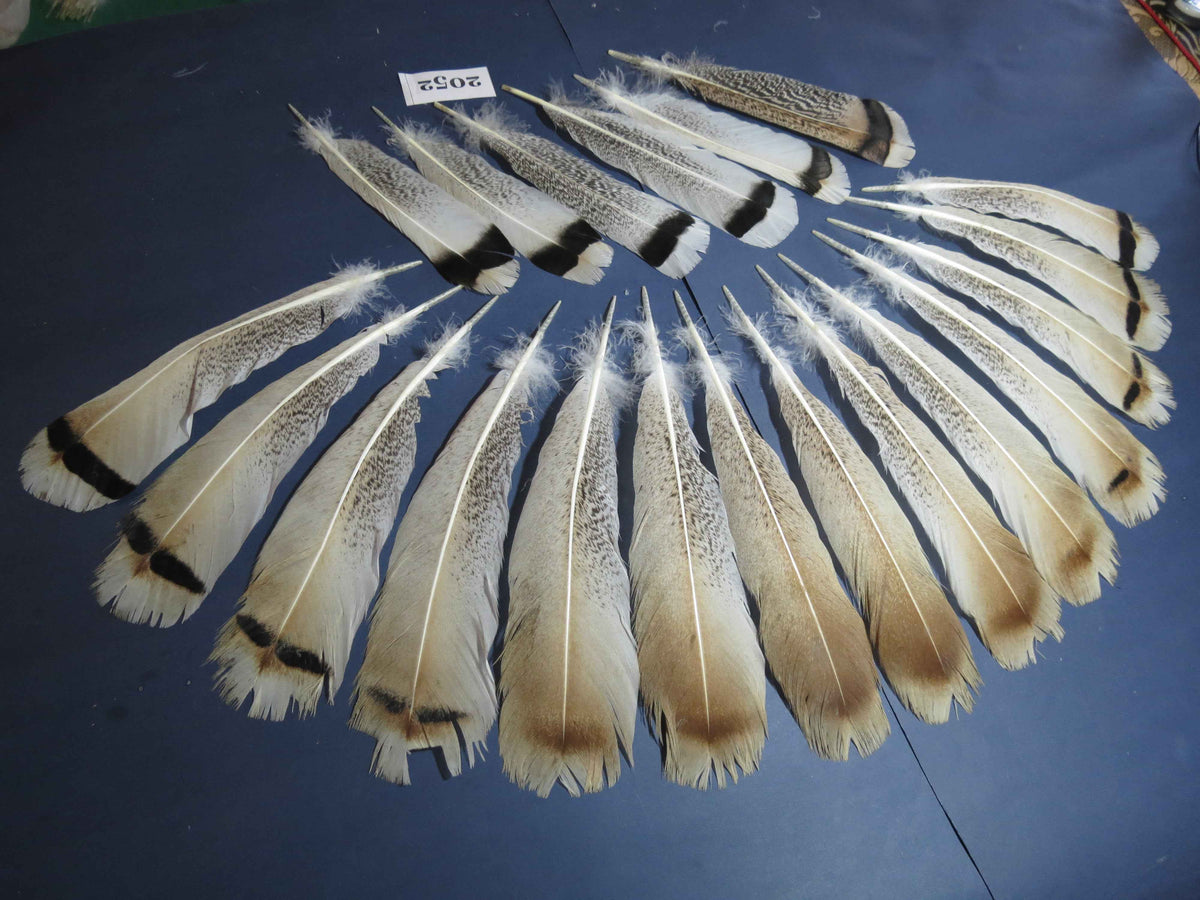 20 Pcs Turkey Tail Feathers, Fly Tying Material,Craft Feathers,Natural Turkey Feathers (2052)