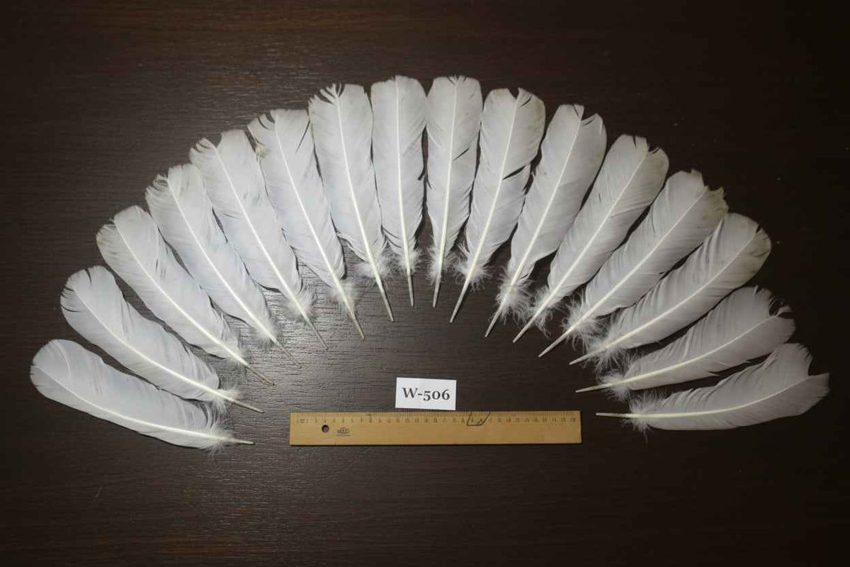 16 Pcs White Turkey Tail Feathers, Turkey Feathers,Fly Tying Material,Craft Feathers,Natural Feathers (W-506)