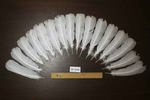 16 Pcs White Turkey Tail Feathers, Turkey Feathers,Fly Tying Material,Craft Feathers,Natural Feathers (W-506)