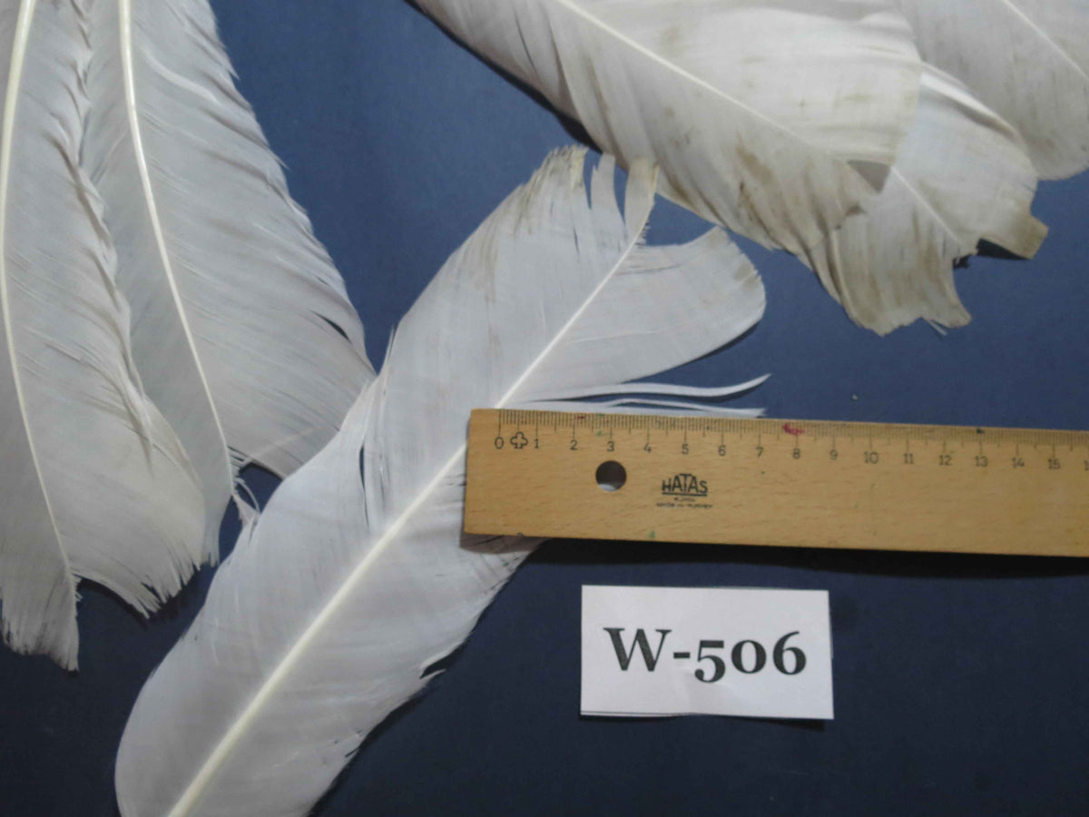 16 Pcs White Turkey Tail Feathers, Turkey Feathers,Fly Tying Material,Craft Feathers,Natural Feathers (W-506)