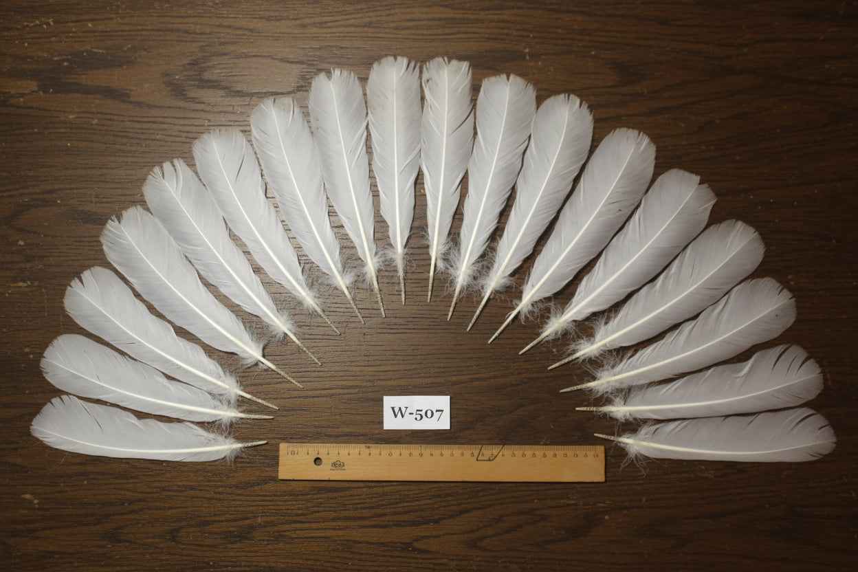 18 Pcs White Turkey Tail Feathers, Turkey Feathers,Fly Tying Material,Craft Feathers,Natural Feathers (W-507)