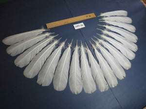 18 Pcs White Turkey Tail Feathers, Turkey Feathers,Fly Tying Material,Craft Feathers,Natural Feathers (W-507)
