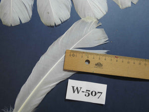 18 Pcs White Turkey Tail Feathers, Turkey Feathers,Fly Tying Material,Craft Feathers,Natural Feathers (W-507)