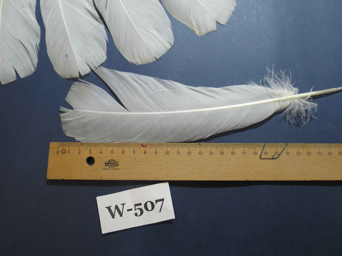 18 Pcs White Turkey Tail Feathers, Turkey Feathers,Fly Tying Material,Craft Feathers,Natural Feathers (W-507)