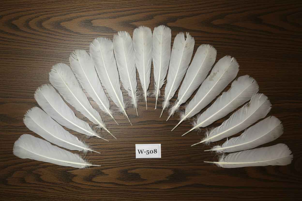 16 Pcs White Turkey Tail Feathers, Turkey Feathers,Fly Tying Material,Craft Feathers,Natural Feathers (W-508)