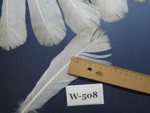 16 Pcs White Turkey Tail Feathers, Turkey Feathers,Fly Tying Material,Craft Feathers,Natural Feathers (W-508)