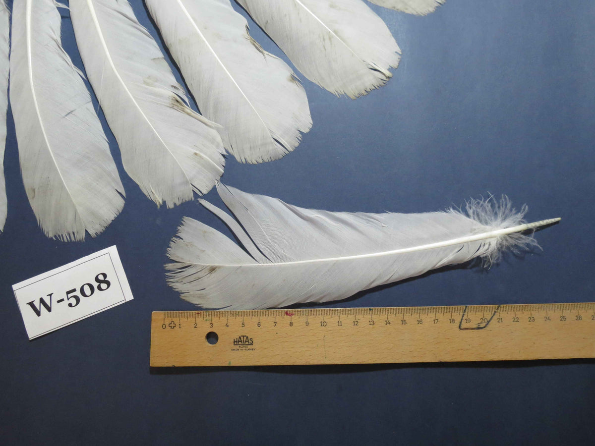 16 Pcs White Turkey Tail Feathers, Turkey Feathers,Fly Tying Material,Craft Feathers,Natural Feathers (W-508)