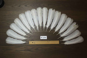 16 Pcs White Turkey Tail Feathers, Turkey Feathers,Fly Tying Material,Craft Feathers,Natural Feathers (W-509)