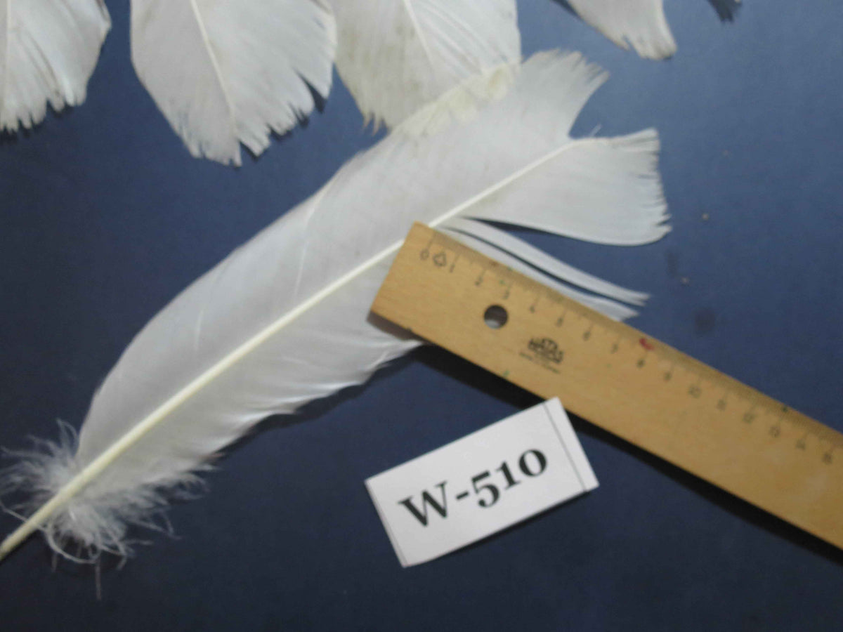 16 Pcs White Turkey Tail Feathers, Turkey Feathers,Fly Tying Material,Craft Feathers,Natural Feathers (W-510)
