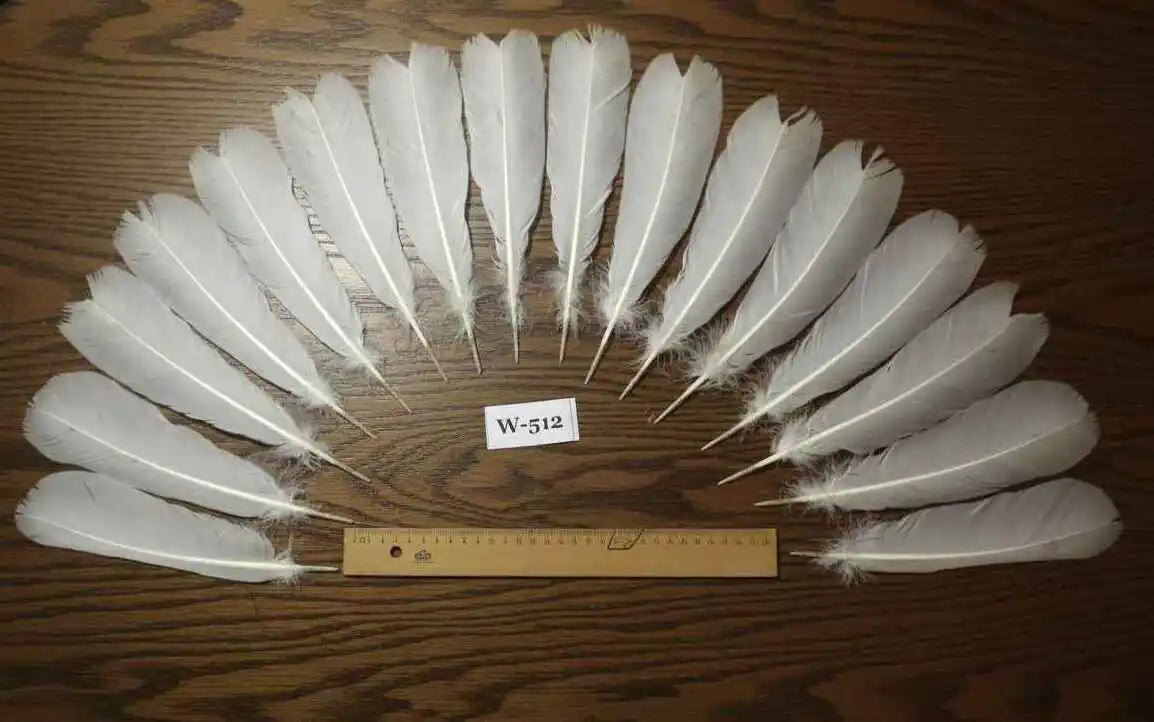 white turkey feathers