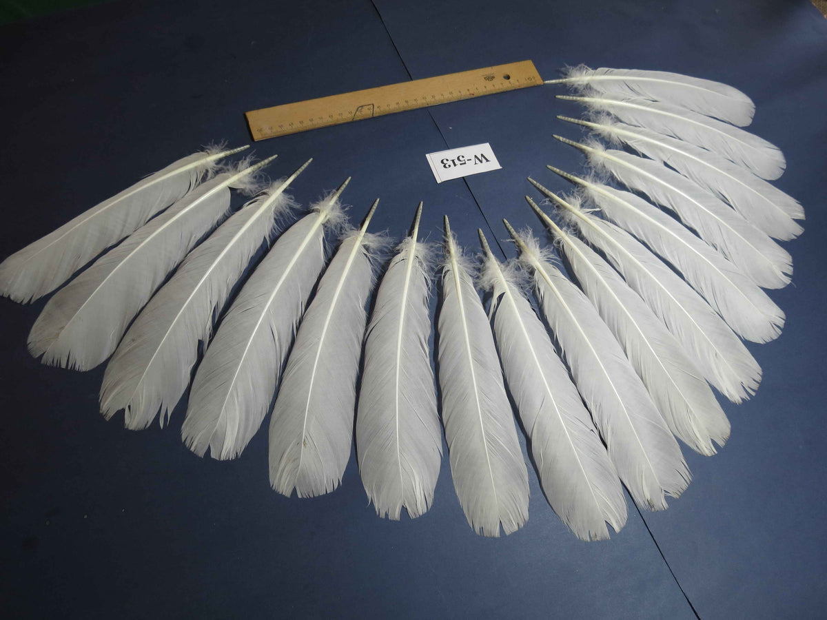 16 Pcs White Turkey Tail Feathers, Turkey Feathers,Fly Tying Material,Craft Feathers,Natural Turkey Feathers (W-513)