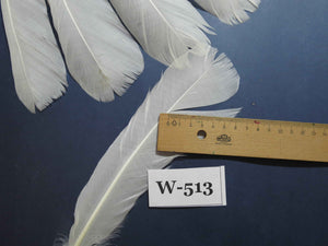 16 Pcs White Turkey Tail Feathers, Turkey Feathers,Fly Tying Material,Craft Feathers,Natural Turkey Feathers (W-513)