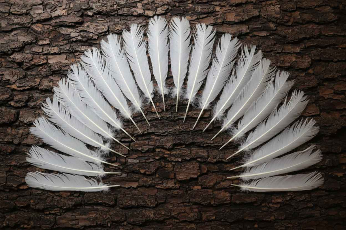 18 Pcs White Turkey Tail Feathers, Turkey Feathers,Fly Tying Material,Craft Feathers,Natural Turkey Feathers (W-514)