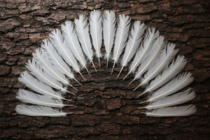 18 Pcs White Turkey Tail Feathers, Turkey Feathers,Fly Tying Material,Craft Feathers,Natural Turkey Feathers (W-514)