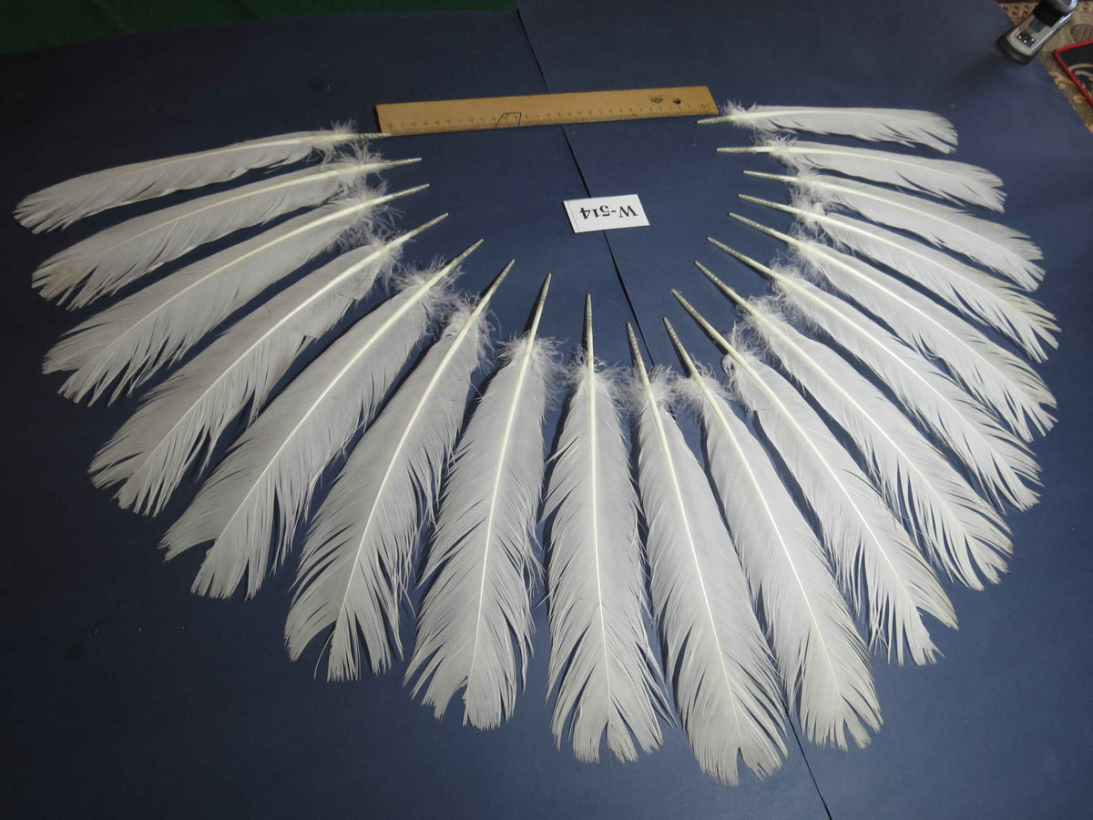 18 Pcs White Turkey Tail Feathers, Turkey Feathers,Fly Tying Material,Craft Feathers,Natural Turkey Feathers (W-514)