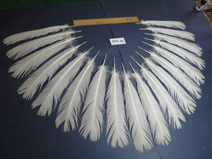 18 Pcs White Turkey Tail Feathers, Turkey Feathers,Fly Tying Material,Craft Feathers,Natural Turkey Feathers (W-514)