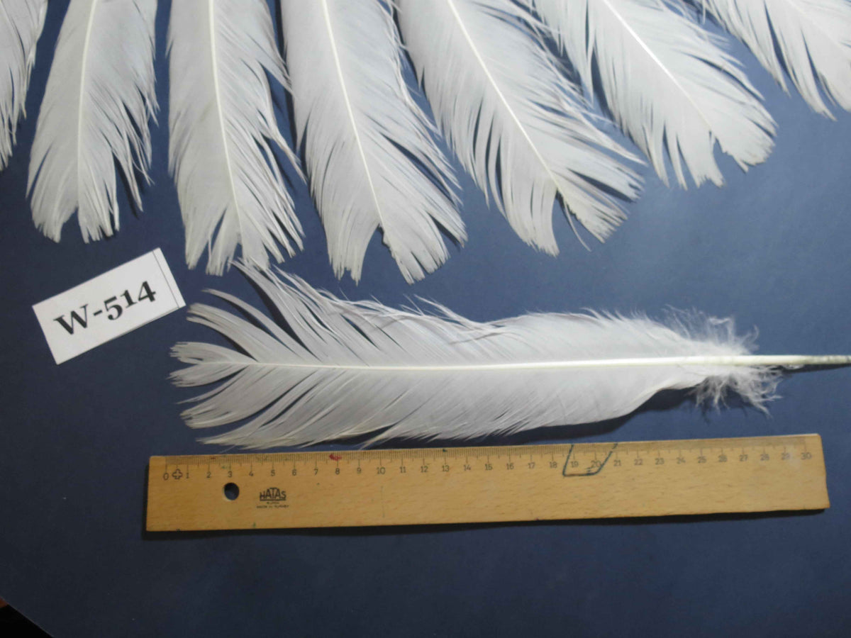 18 Pcs White Turkey Tail Feathers, Turkey Feathers,Fly Tying Material,Craft Feathers,Natural Turkey Feathers (W-514)