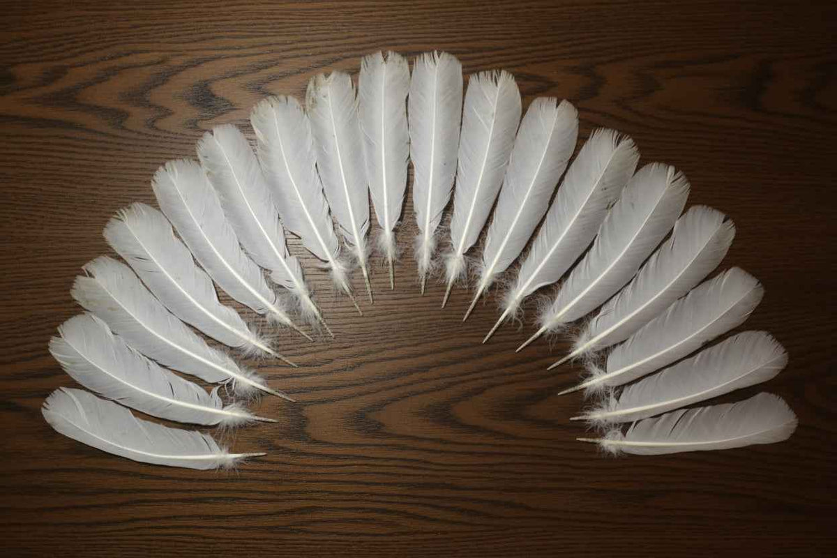 18 Pcs White Turkey Tail Feathers, Turkey Feathers,Fly Tying Material,Craft Feathers,Natural Feathers (W-515)