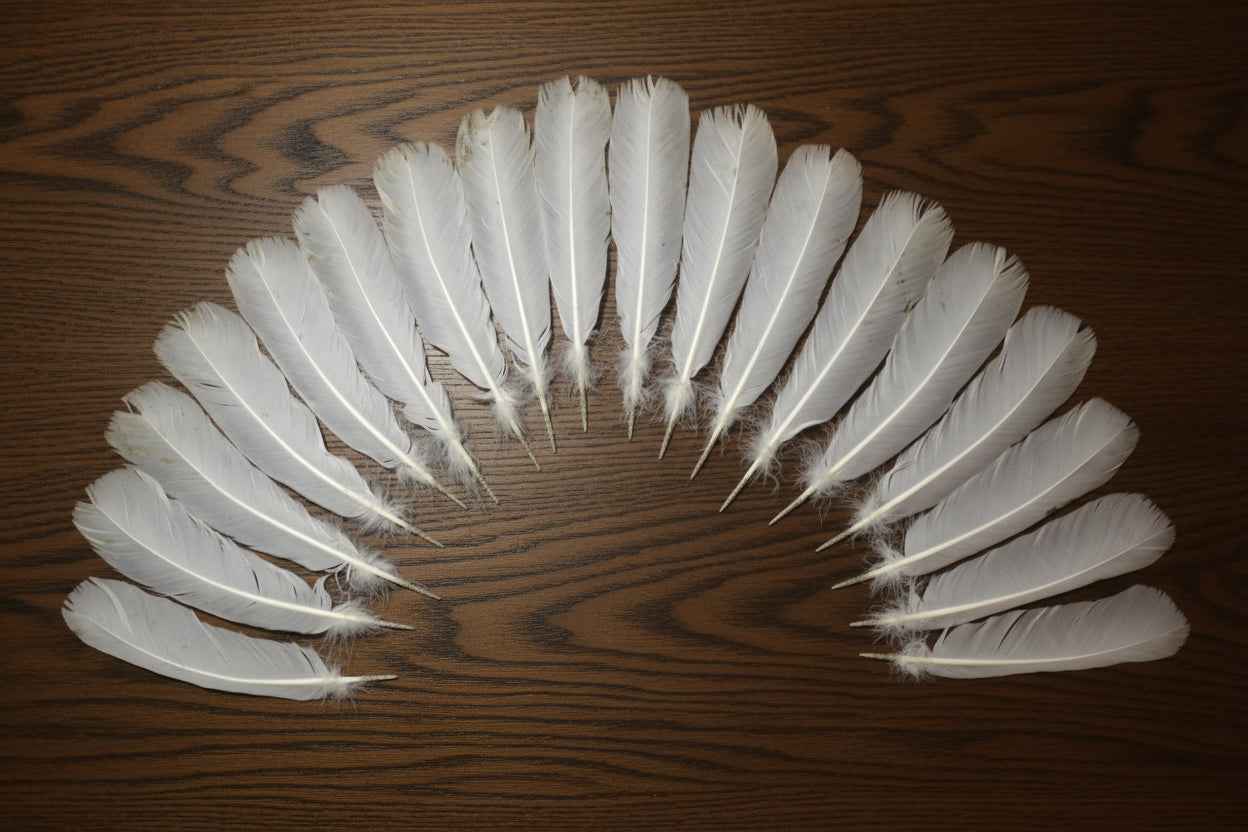 18 Pcs White Turkey Tail Feathers, Turkey Feathers,Fly Tying Material,Craft Feathers,Natural Feathers (W-515)