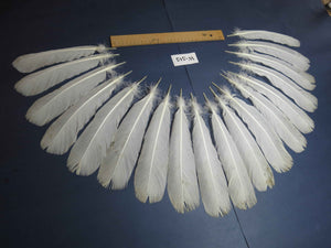 18 Pcs White Turkey Tail Feathers, Turkey Feathers,Fly Tying Material,Craft Feathers,Natural Feathers (W-515)