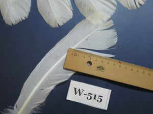 18 Pcs White Turkey Tail Feathers, Turkey Feathers,Fly Tying Material,Craft Feathers,Natural Feathers (W-515)