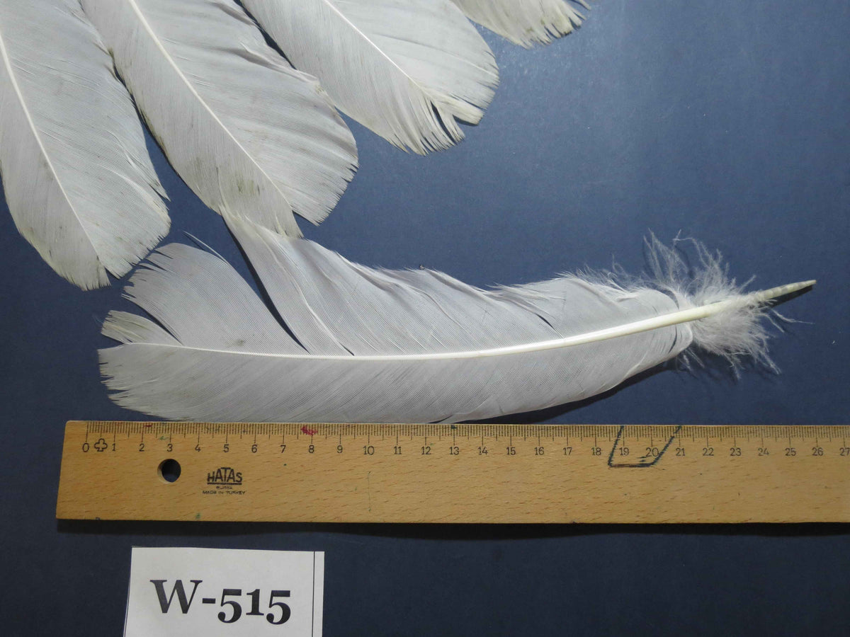 18 Pcs White Turkey Tail Feathers, Turkey Feathers,Fly Tying Material,Craft Feathers,Natural Feathers (W-515)