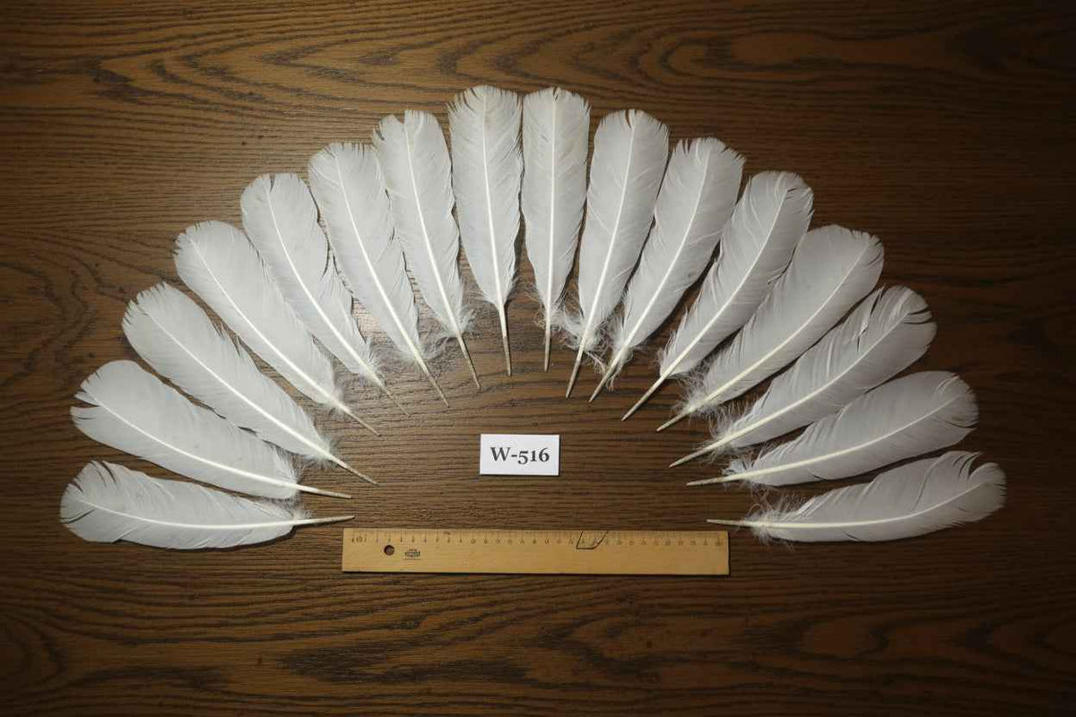 16 Pcs White Turkey Tail Feathers, Turkey Feathers,Fly Tying Material,Craft Feathers,Natural Turkey Feathers (W-516)