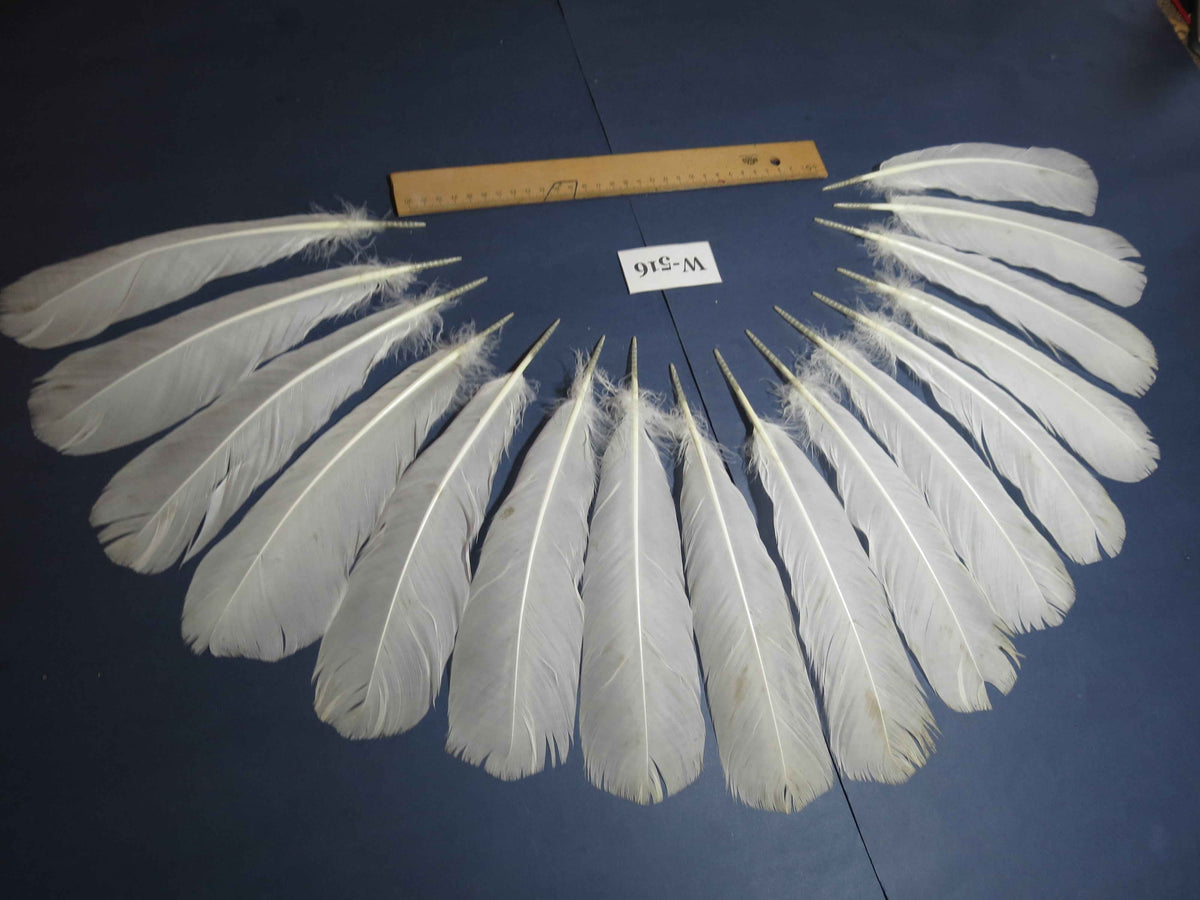 16 Pcs White Turkey Tail Feathers, Turkey Feathers,Fly Tying Material,Craft Feathers,Natural Turkey Feathers (W-516)