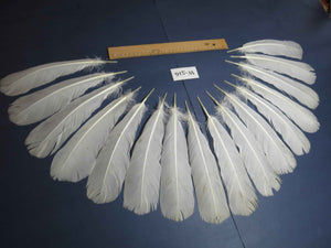 16 Pcs White Turkey Tail Feathers, Turkey Feathers,Fly Tying Material,Craft Feathers,Natural Turkey Feathers (W-516)