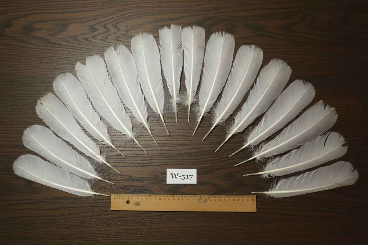 16 Pcs White Turkey Tail Feathers, Turkey Feathers,Fly Tying Material,Craft Feathers,Natural Feathers (W-517)