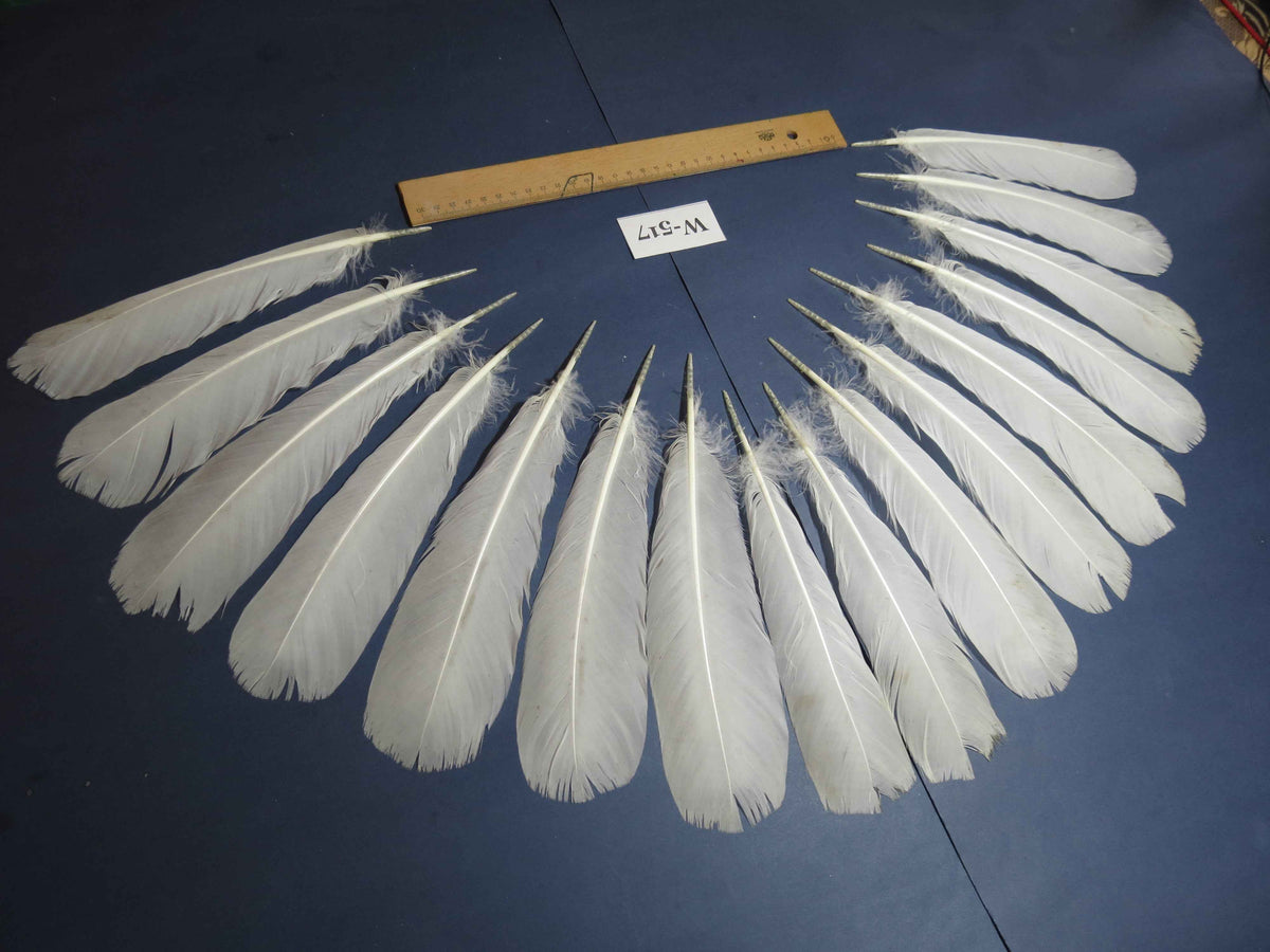 16 Pcs White Turkey Tail Feathers, Turkey Feathers,Fly Tying Material,Craft Feathers,Natural Feathers (W-517)