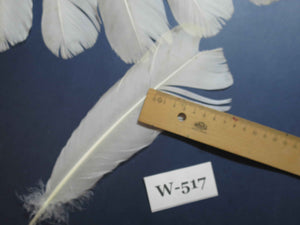 16 Pcs White Turkey Tail Feathers, Turkey Feathers,Fly Tying Material,Craft Feathers,Natural Feathers (W-517)