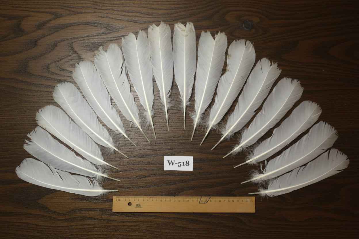 16 Pcs White Turkey Tail Feathers, Turkey Feathers,Fly Tying Material,Craft Feathers,Natural Feathers (W-518)