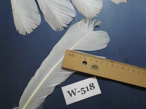 16 Pcs White Turkey Tail Feathers, Turkey Feathers,Fly Tying Material,Craft Feathers,Natural Feathers (W-518)