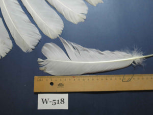 16 Pcs White Turkey Tail Feathers, Turkey Feathers,Fly Tying Material,Craft Feathers,Natural Feathers (W-518)